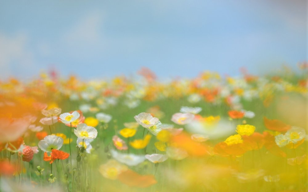 Фоновые картинки