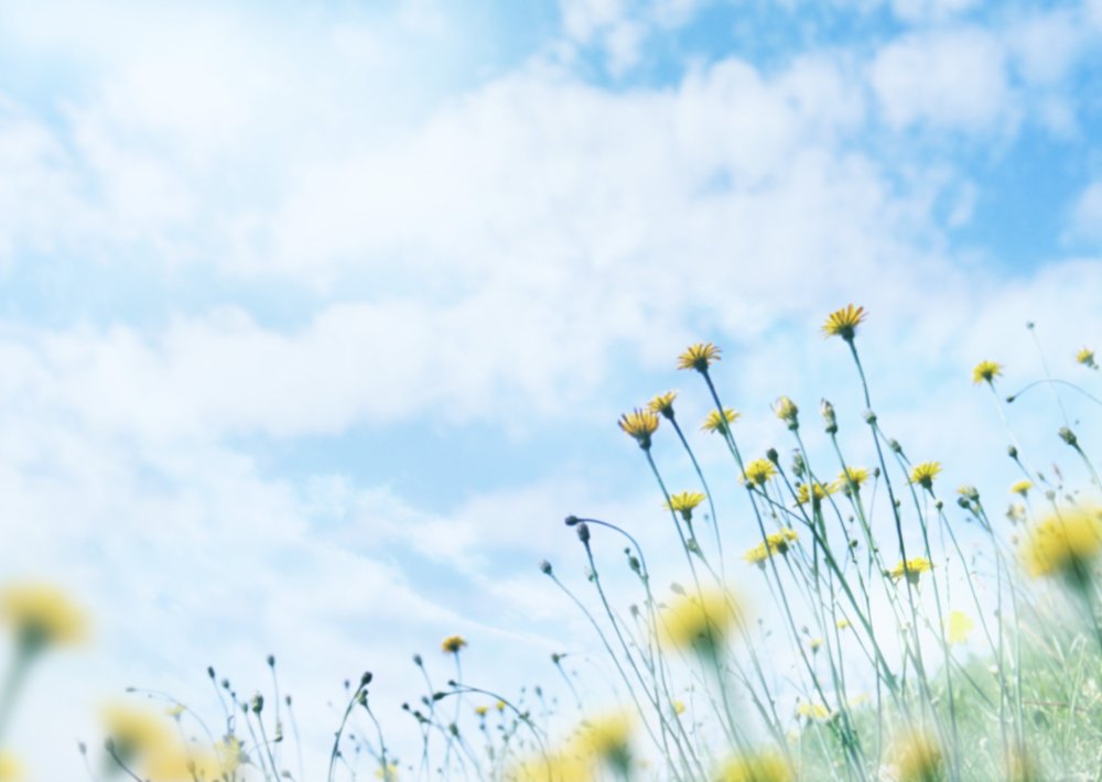 Лето природа