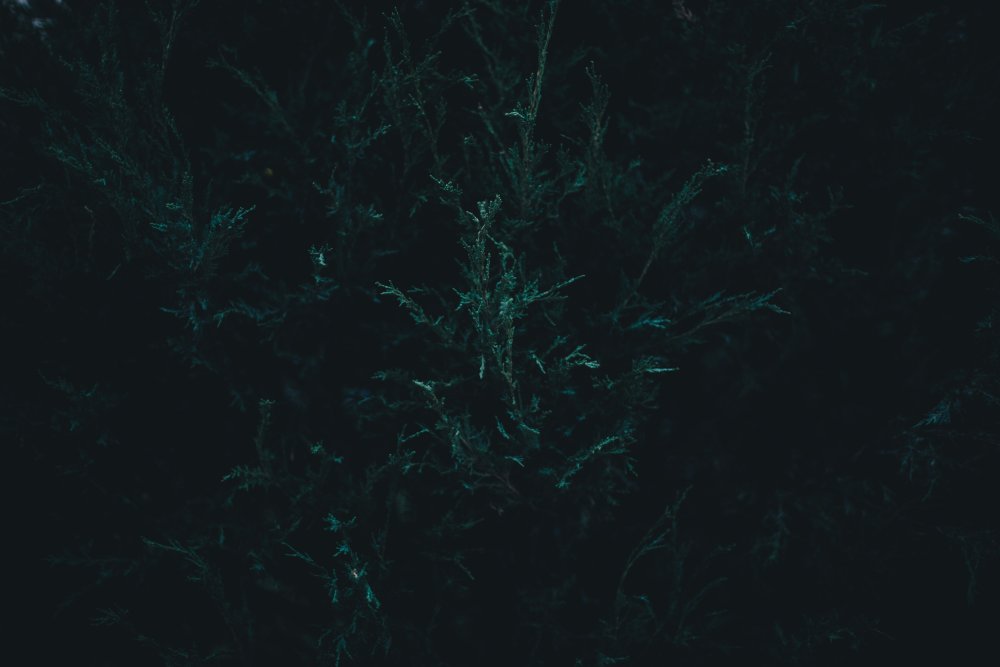 Изумрудный с черным