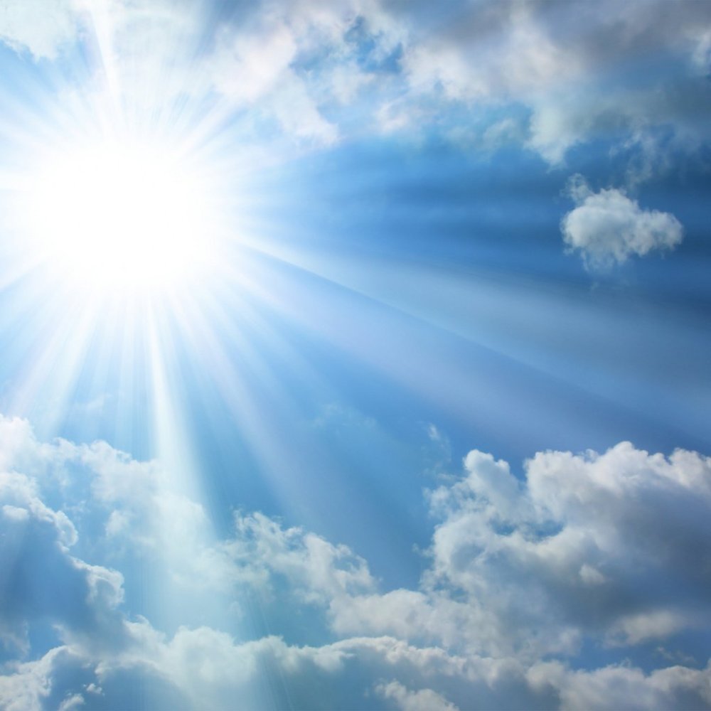 Солнечный день блики