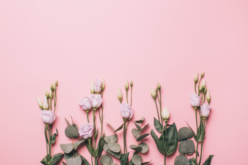 Фон пастель