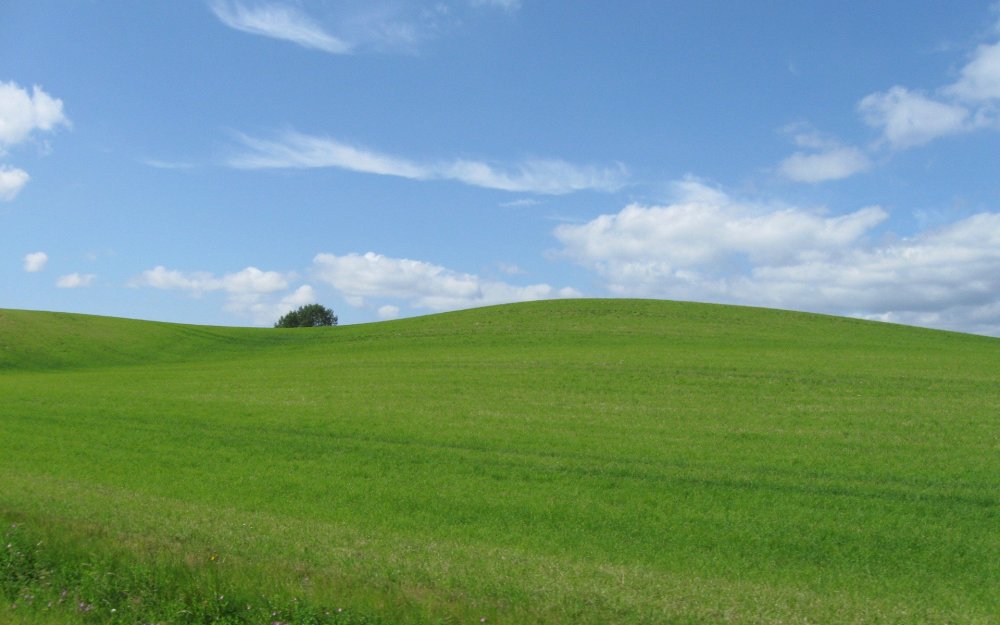 Поляна Windows XP