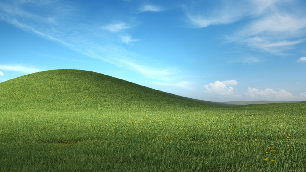Поле Windows XP