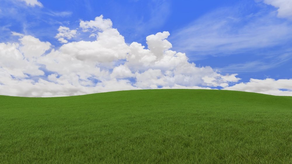Поле Windows XP