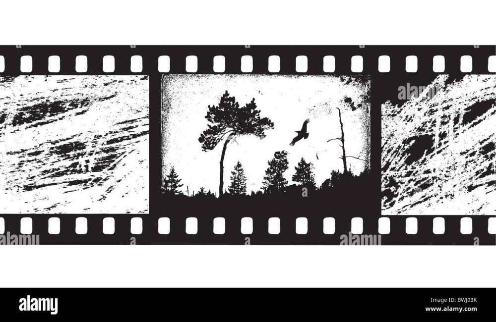 Негативное изображение на фотопленке