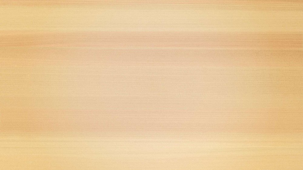 Светло салатовый фон