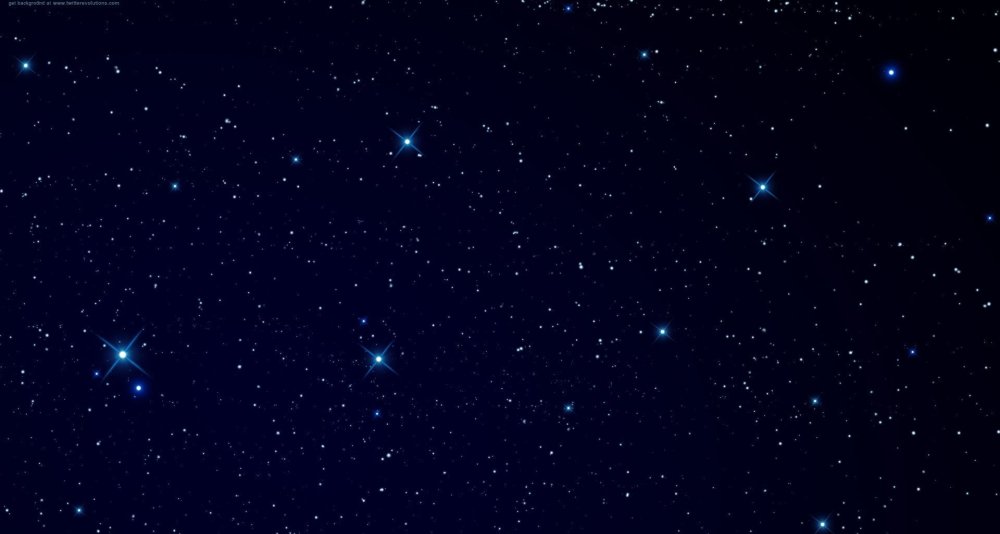 Розовый космос