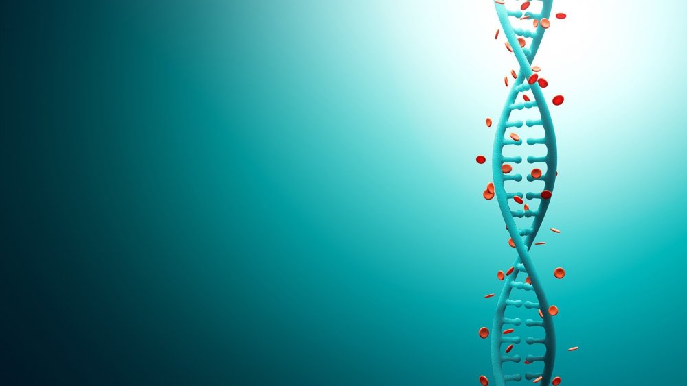 Фон для презентации по биологии