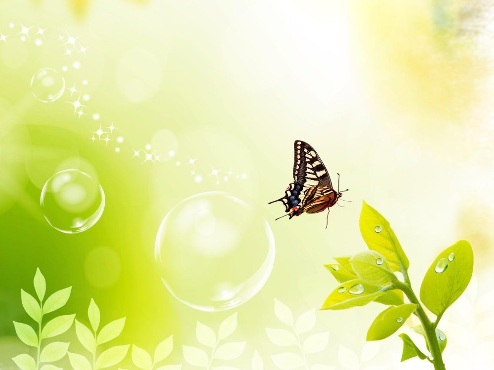 Фон бабочки