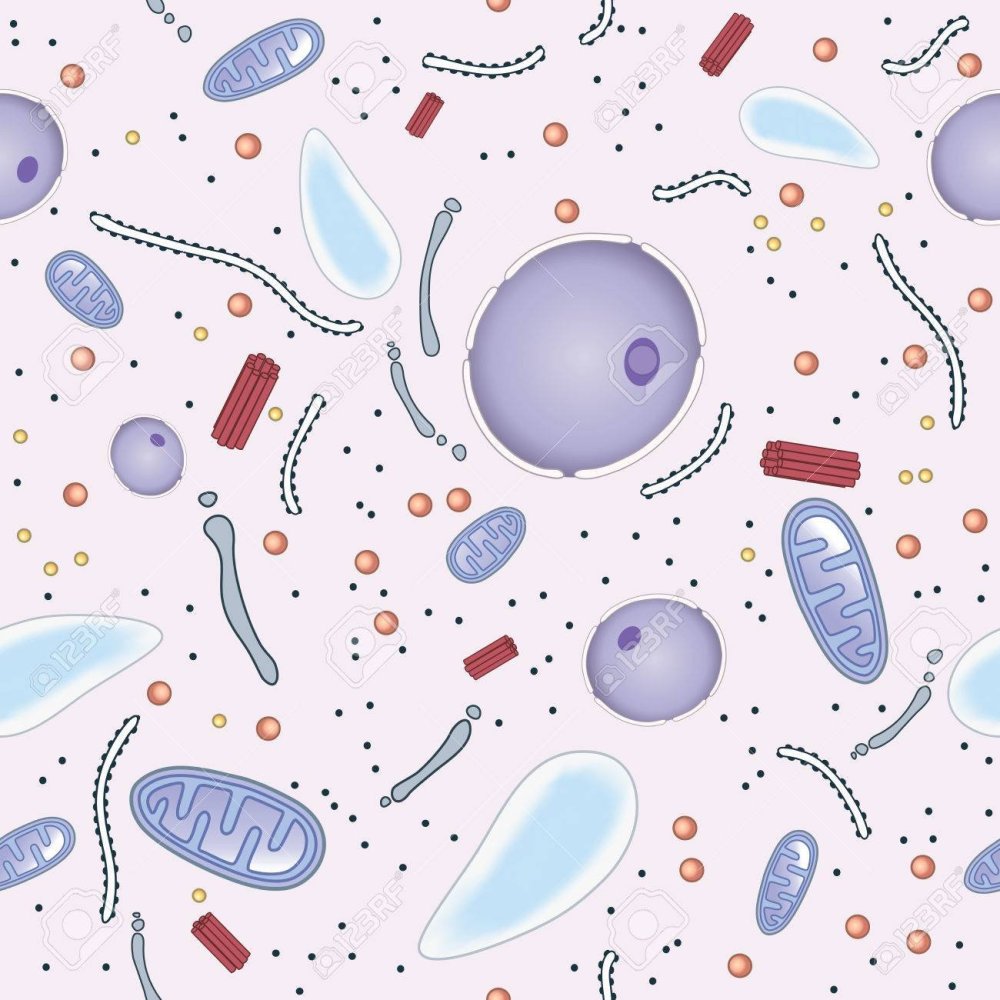 Биология фон