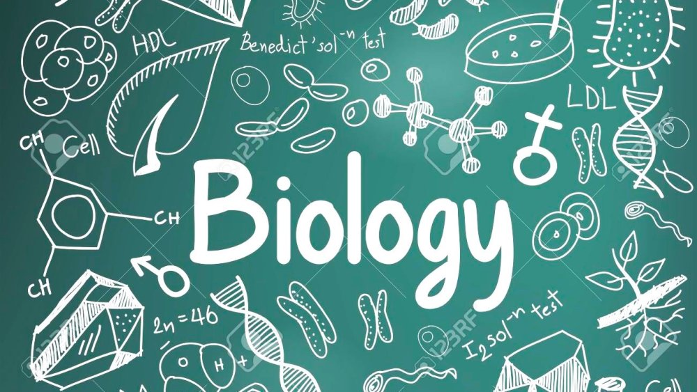 Биология слово