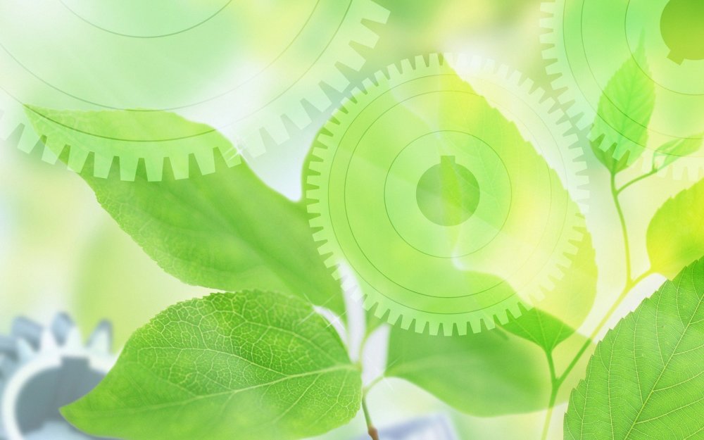 Фон для презентации по биологии