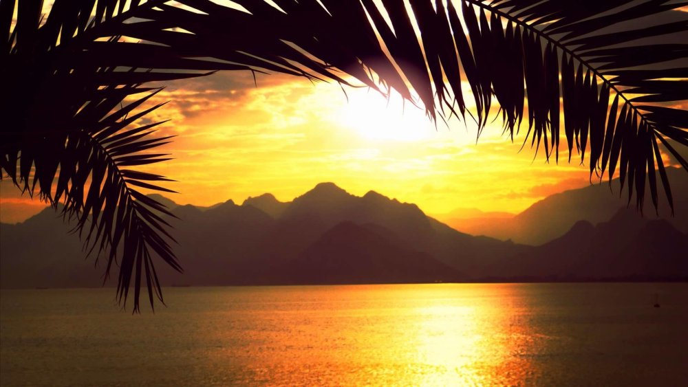 Красивый расслабляющий фон