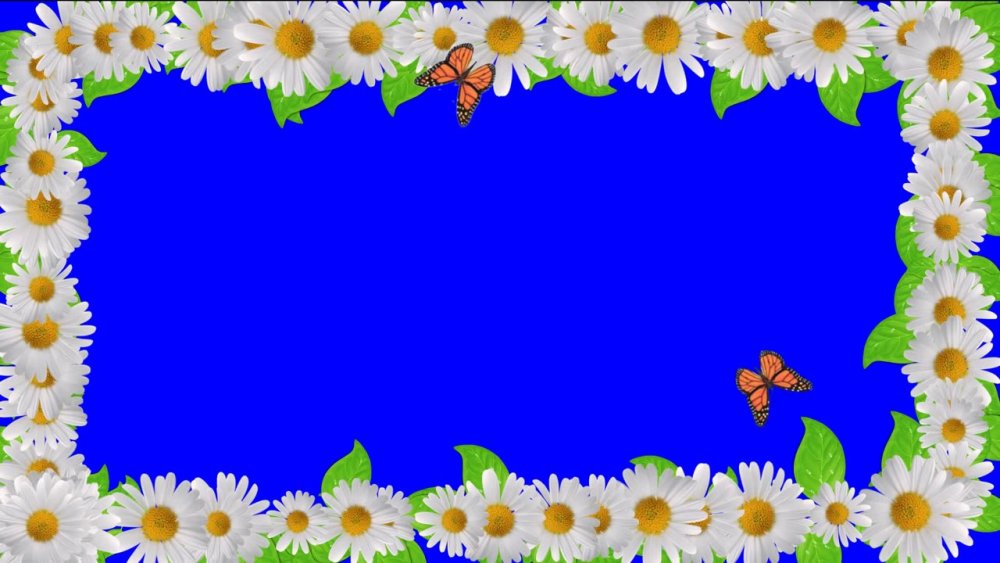 Фоторамка с ромашками