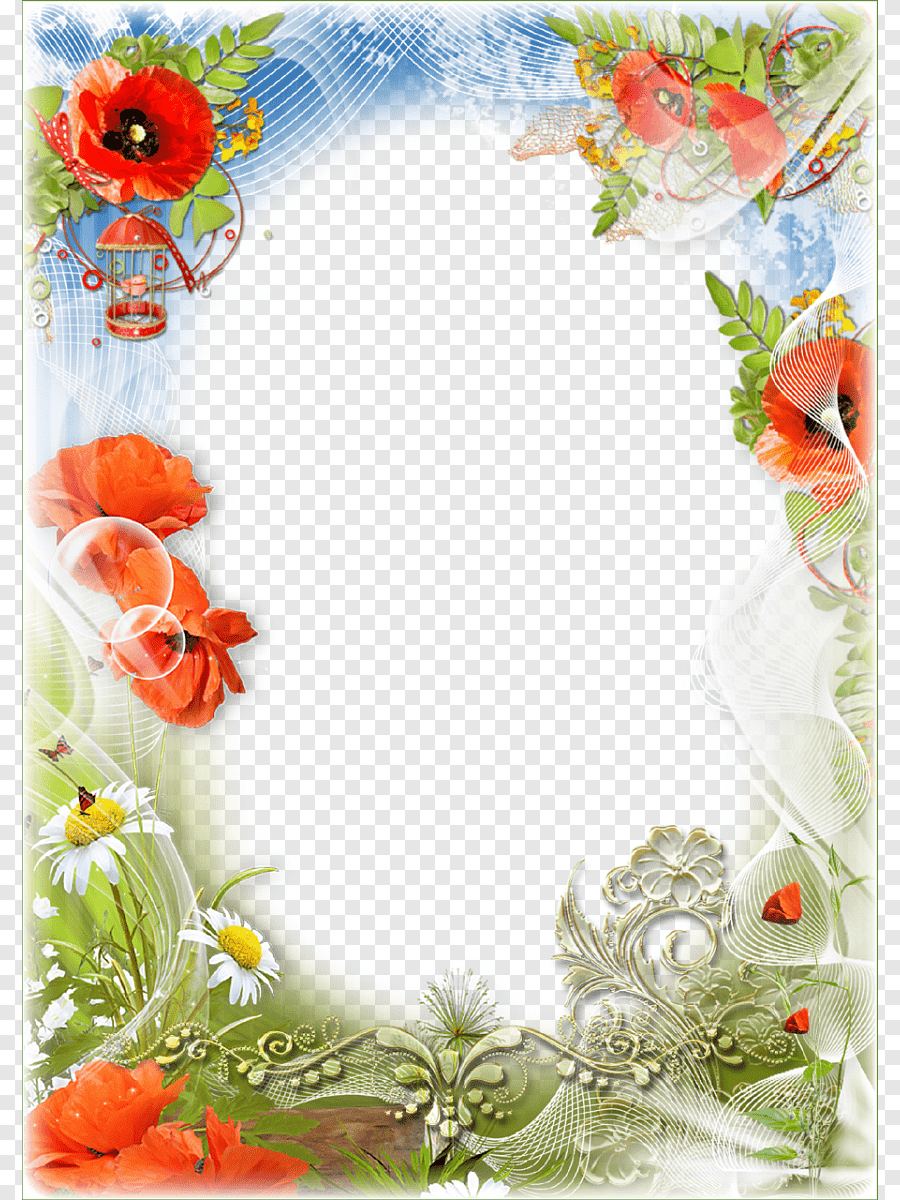 Летний фон для текста