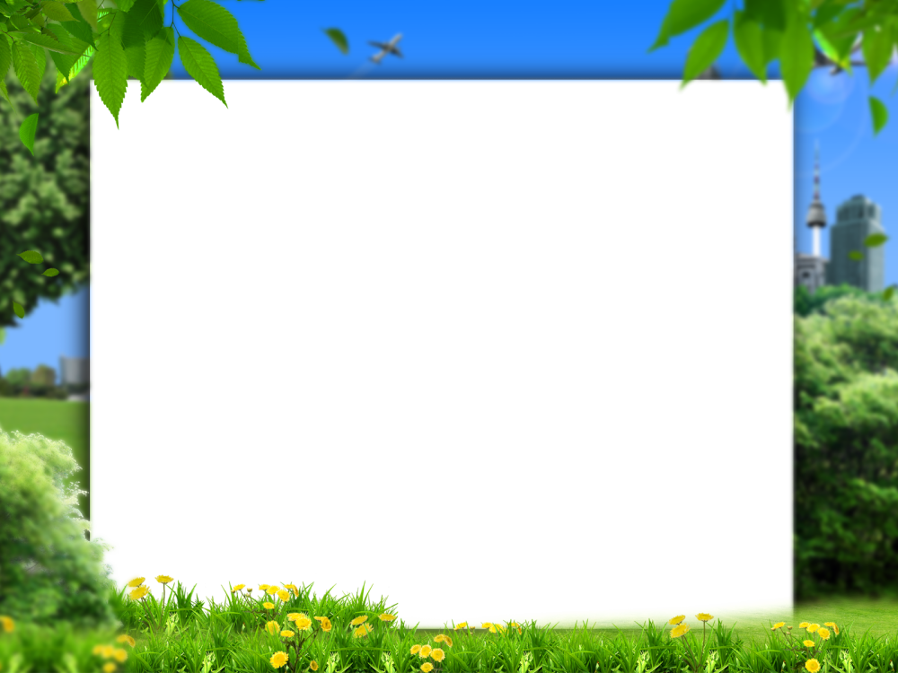 Летняя рамка