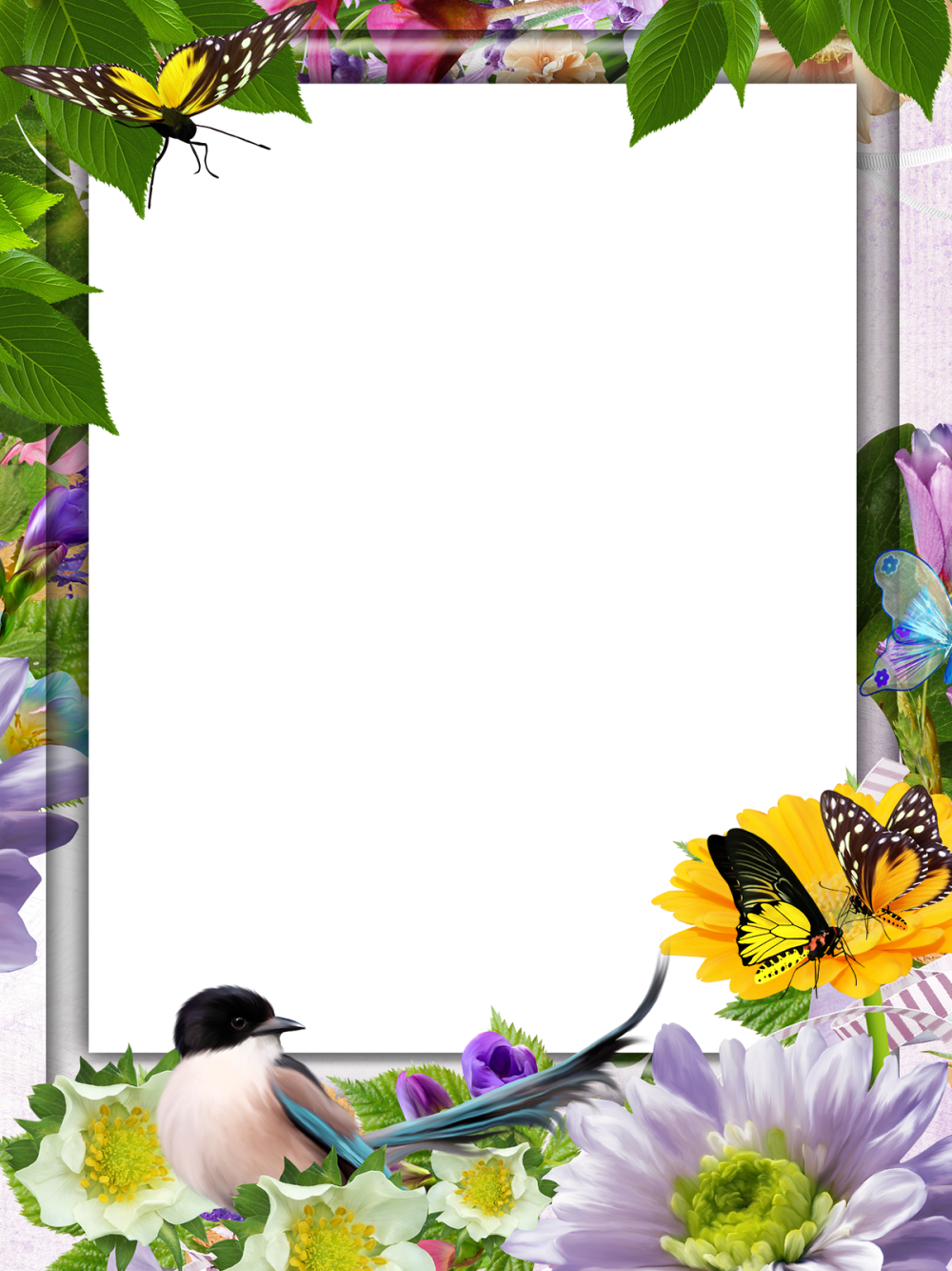 Красивая летняя рамка