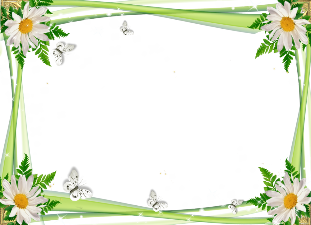 Рамка ромашки