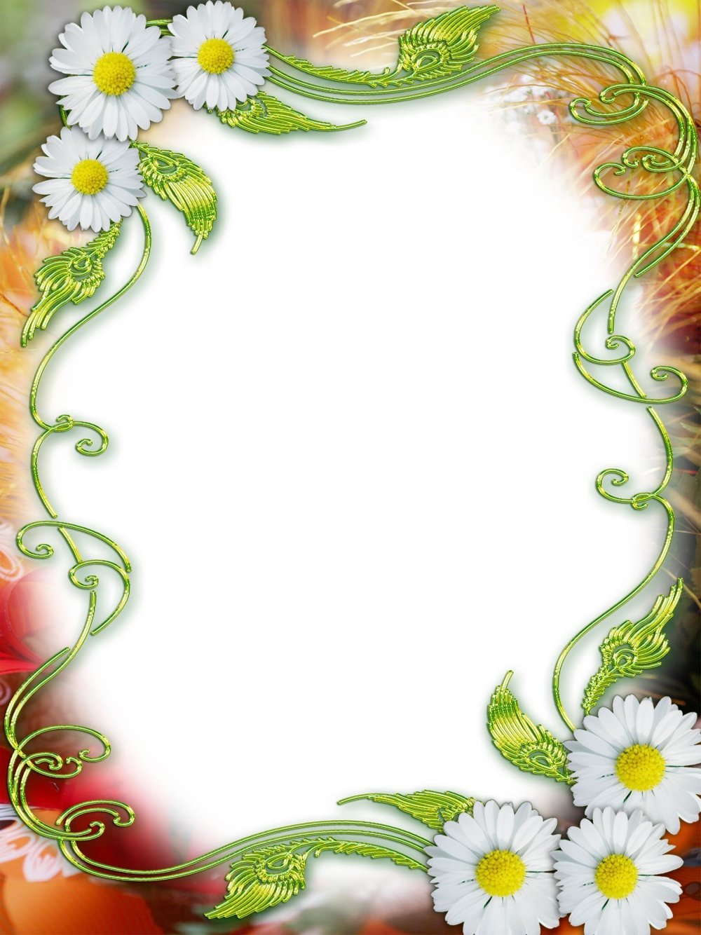 Фоторамка с ромашками