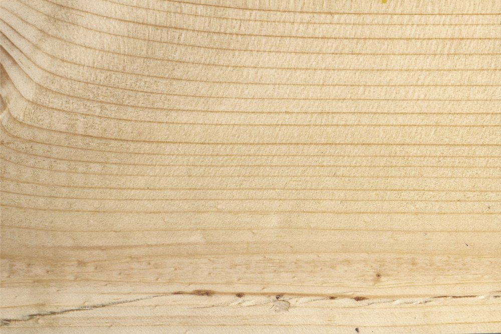 Пихта Сибирская древесина текстура