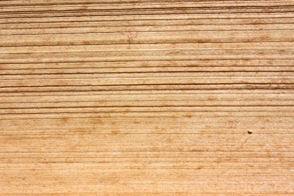 Книжные страницы текстура