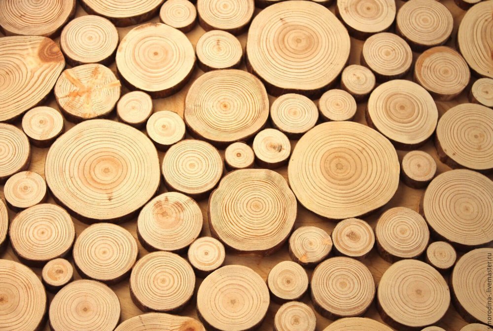 Деревянный спил