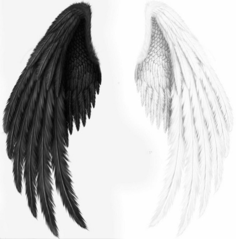 Референс крыльев Серафима