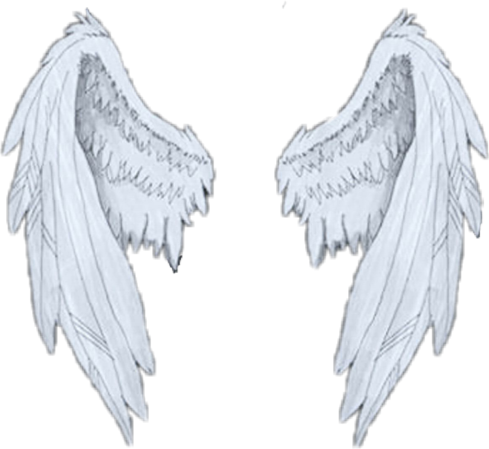 Крылья ангела реалистичные