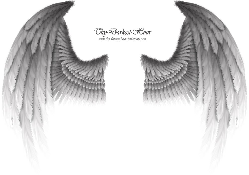 Крылья демона