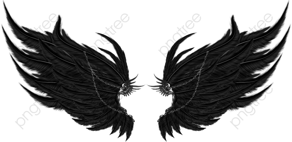 Виды крыльев