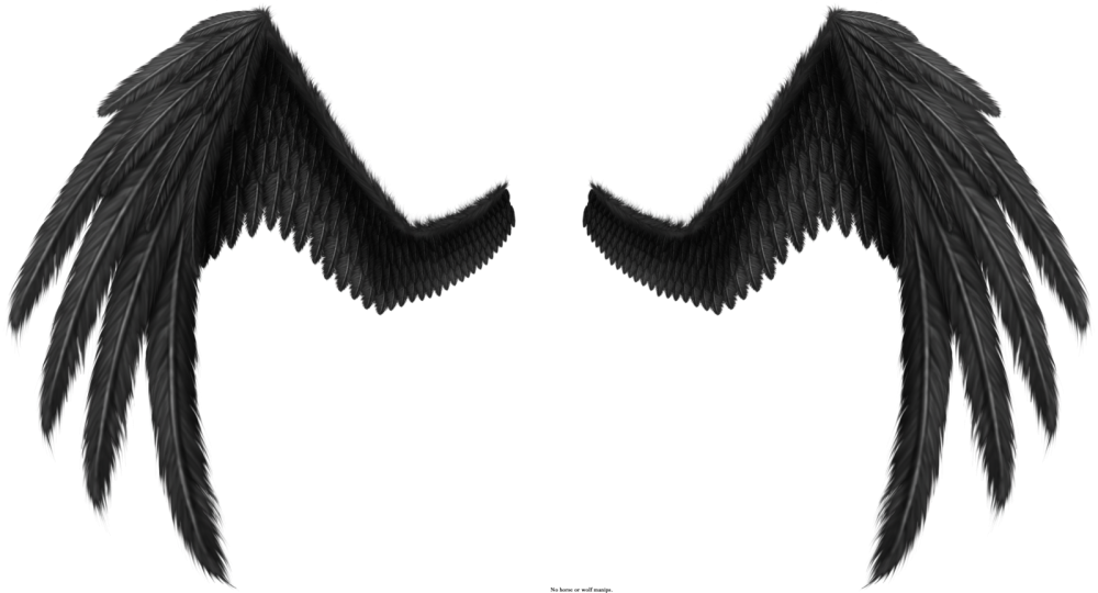 Крылья демона на зелёном фоне