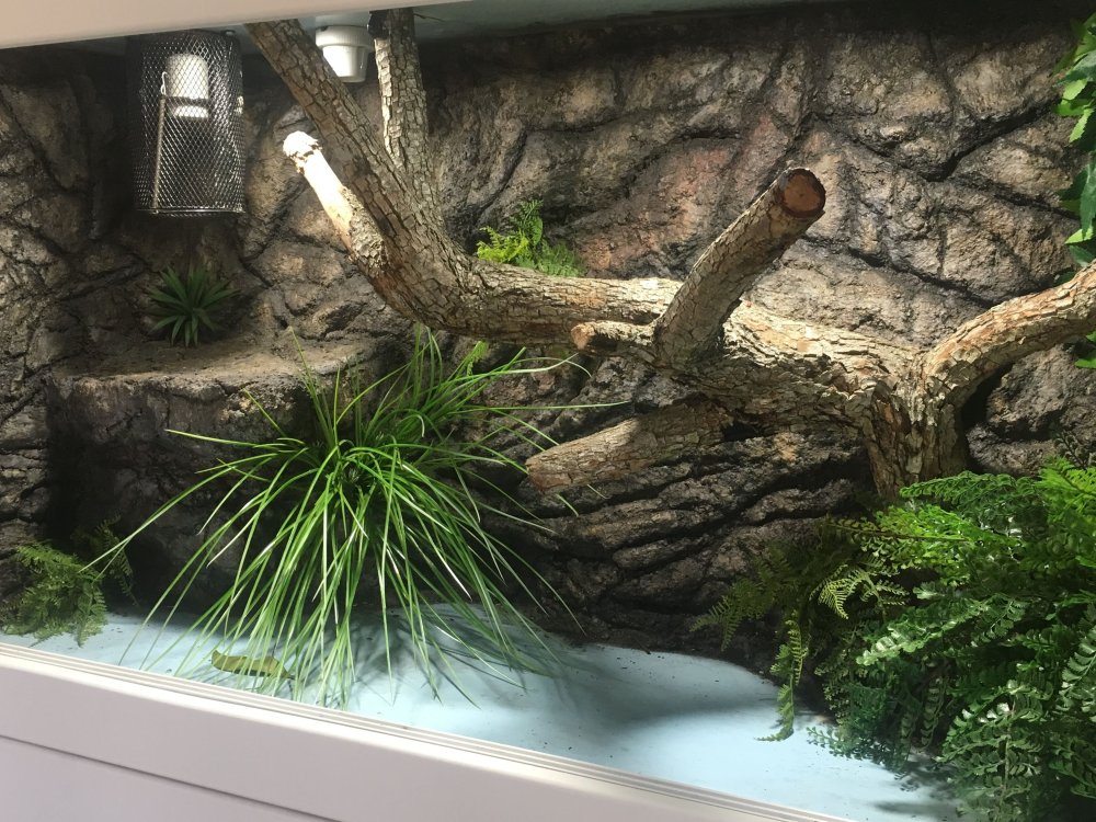 Террариум для змеи