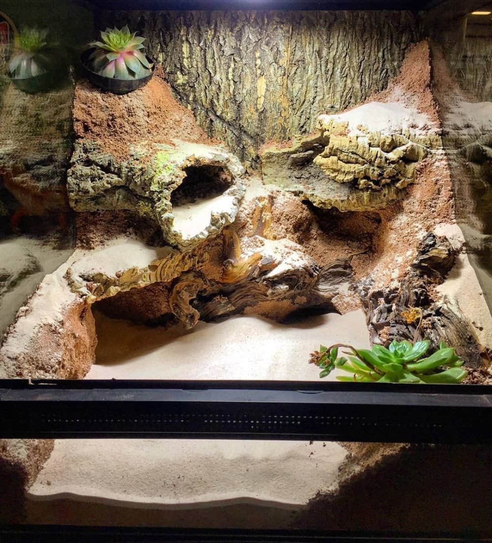 Фон для террариума с полочками