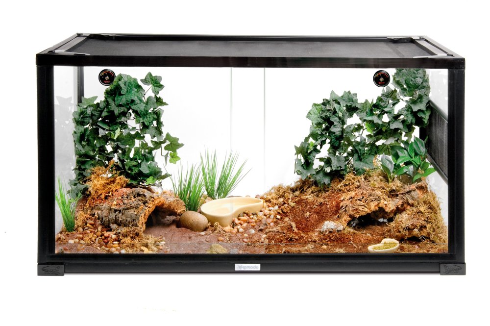 Террариум для бородатой агамы