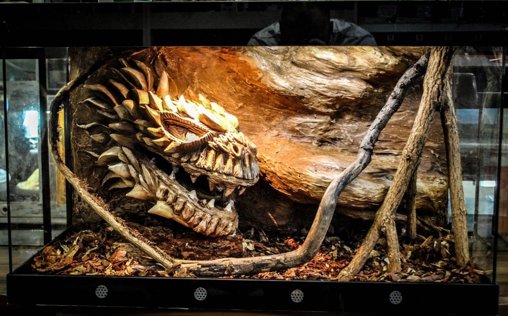 Террариум для ящерицы EXO Terra