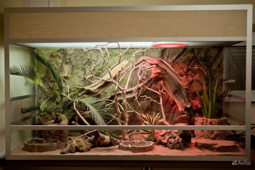 Террариум Zoo_piton39
