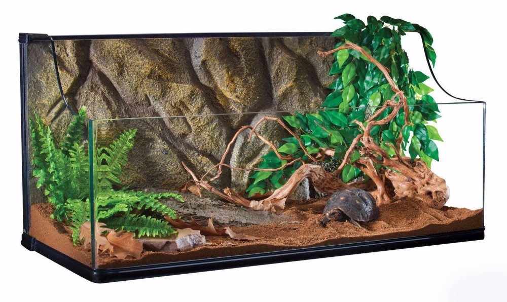 Террариум для ящерицы агама