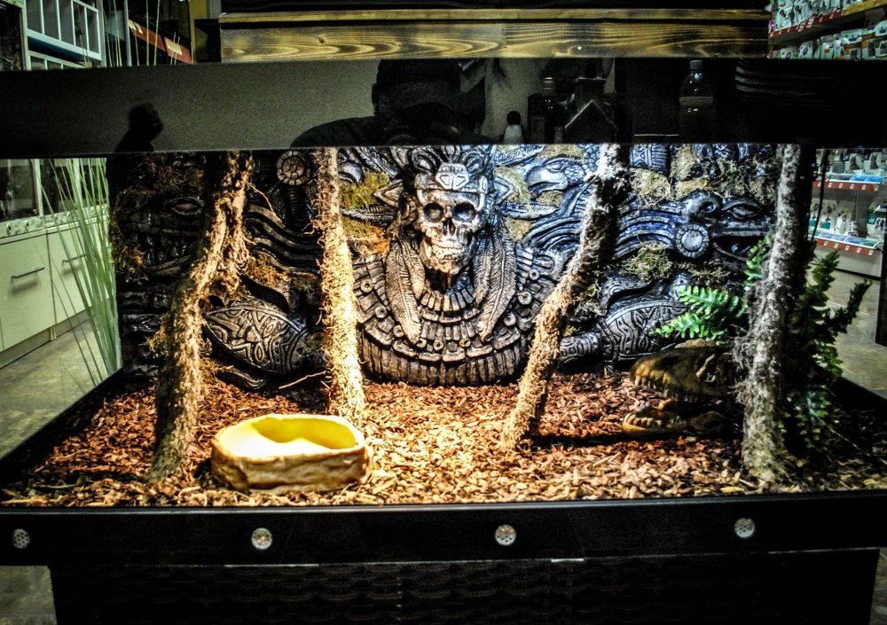 Террариум Zoo_piton39