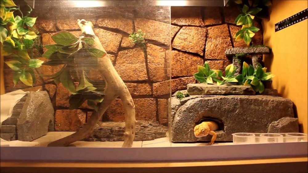 Террариум Repti Zoo 45x45x30