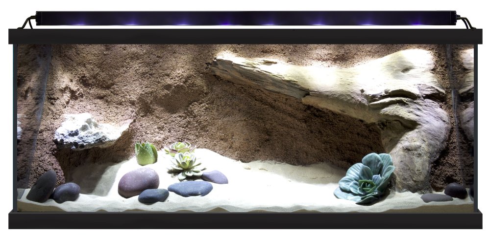 Террариум биотоп