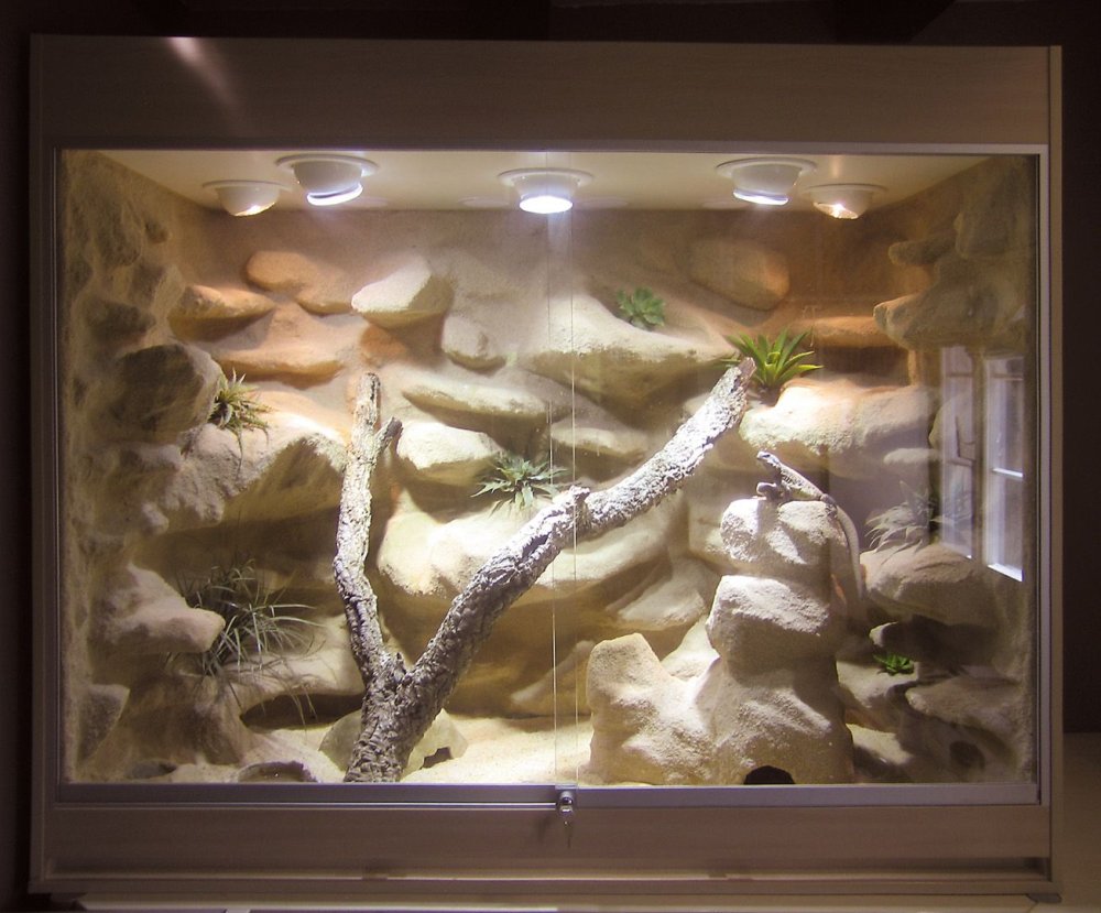 Палюдариум с водопадом