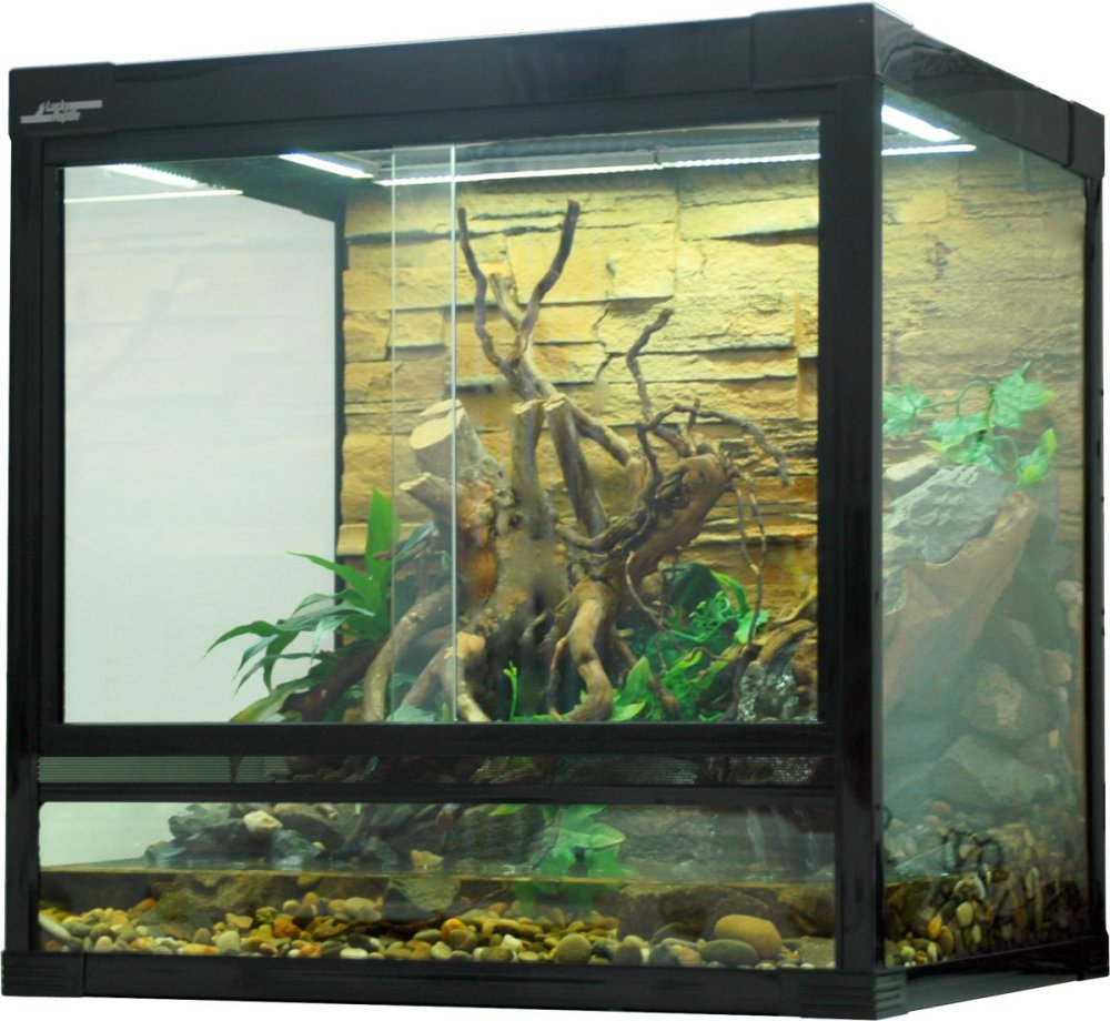 Террариум Repti Zoo