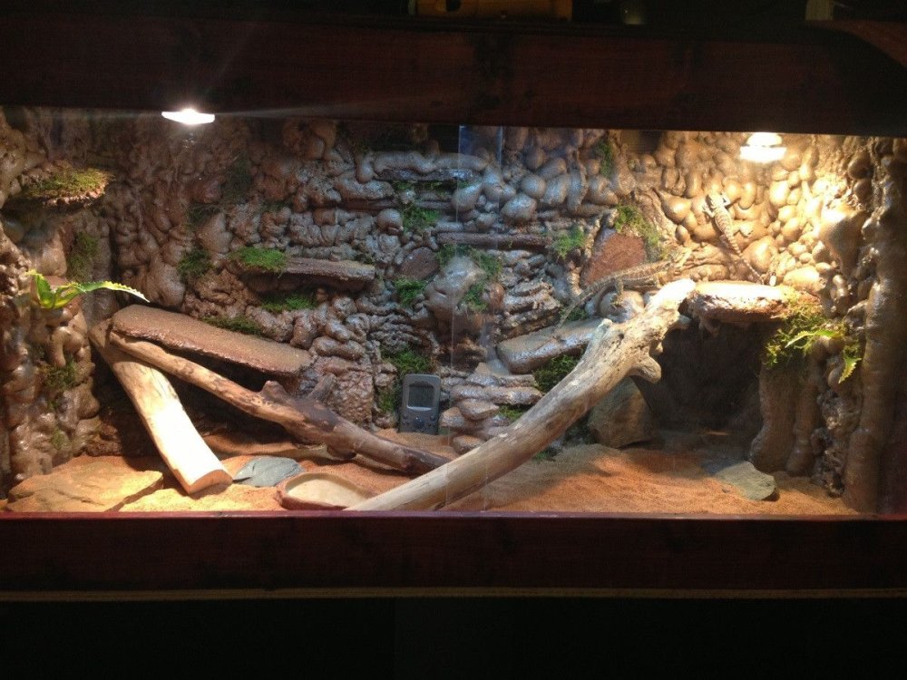 Фон для террариума хищник