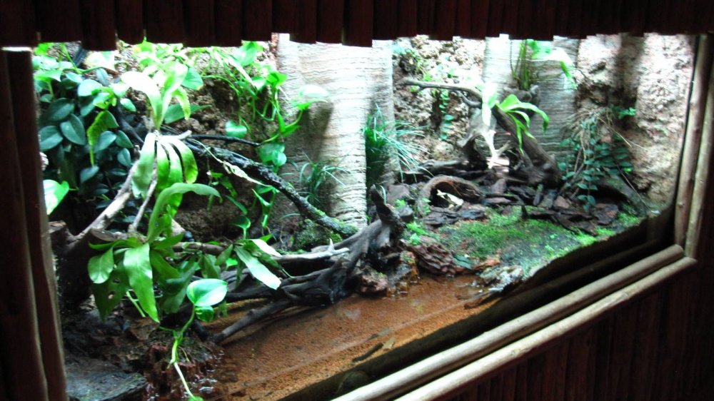 Объемные декорации для террариумов