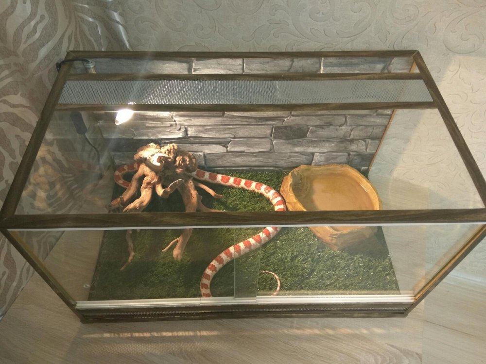 35x35x45 см террариум