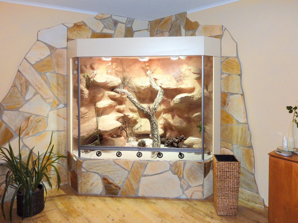 Репти ЗУ террариумы