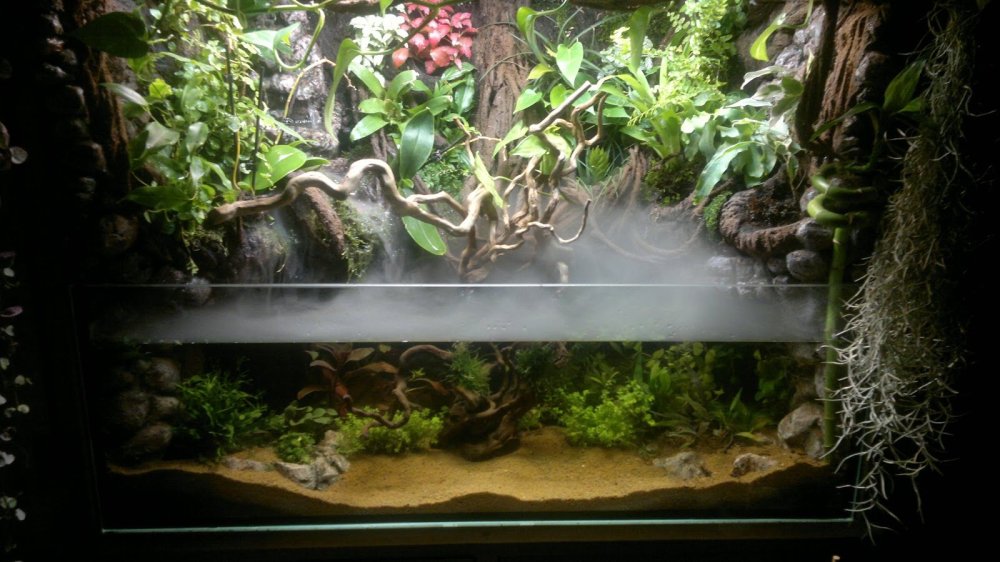 Lucky Reptile террариум