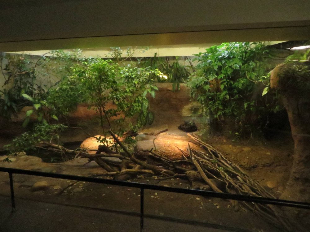 Террариум для Полоза