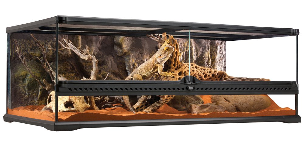 Эублефар террариум