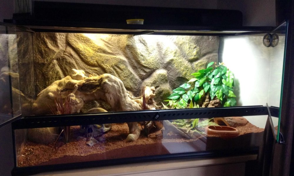 Биотопный террариум